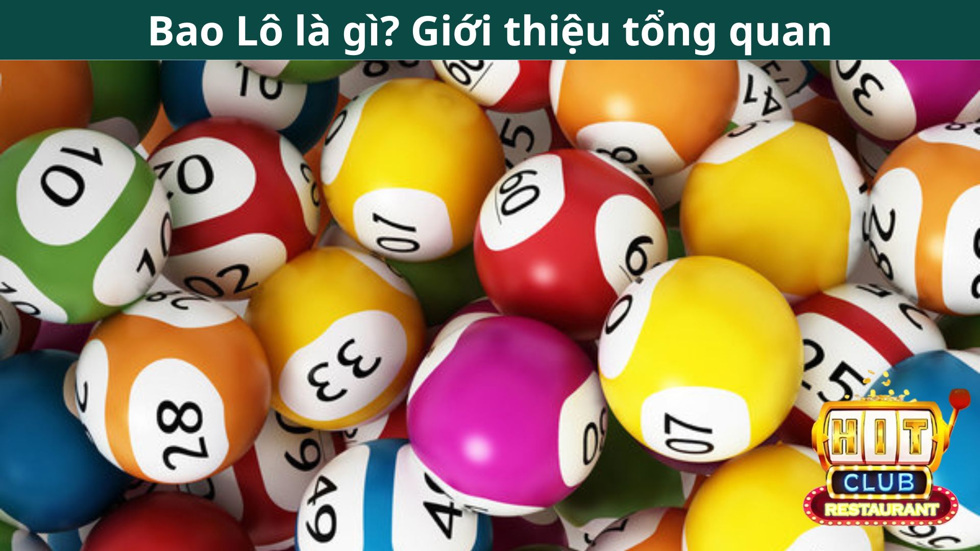 Bao Lô là gì? Giới thiệu tổng quan