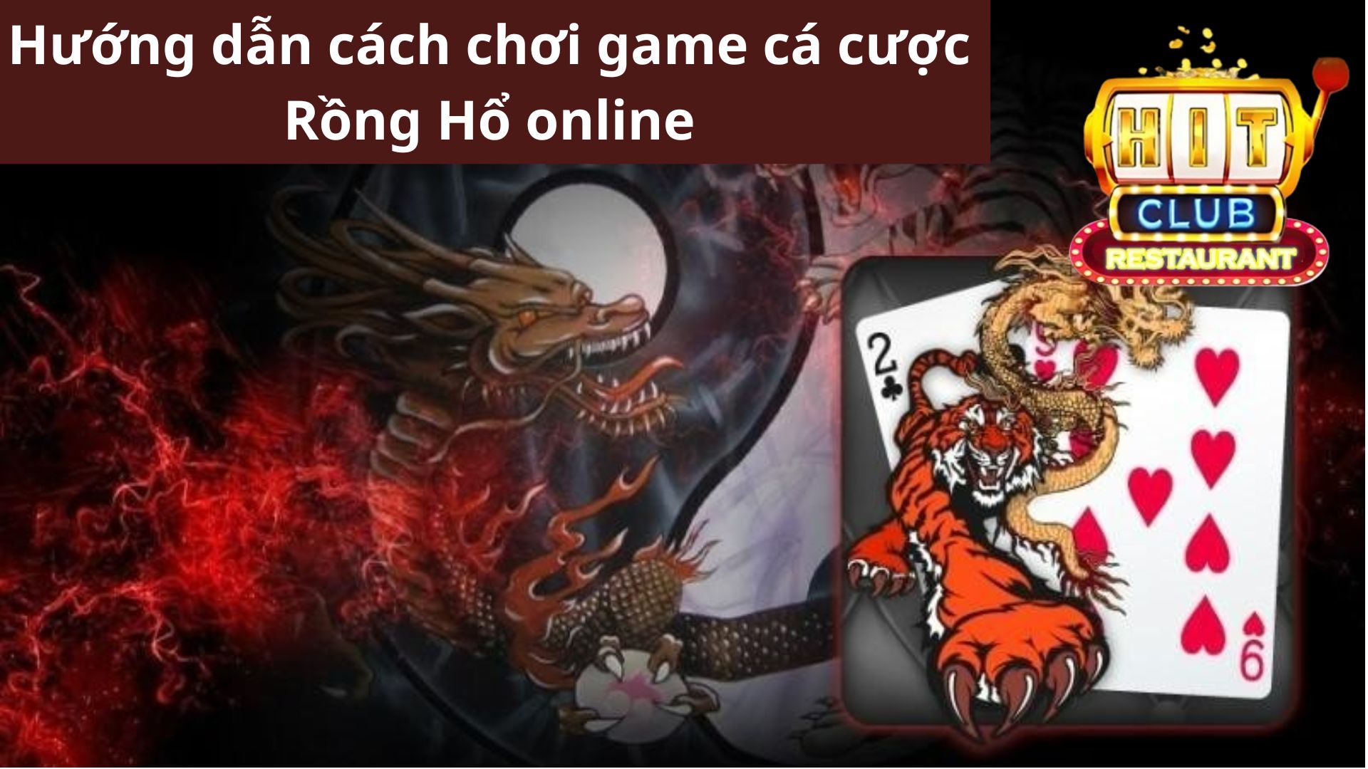 Hướng dẫn cách chơi game cá cược Rồng Hổ online