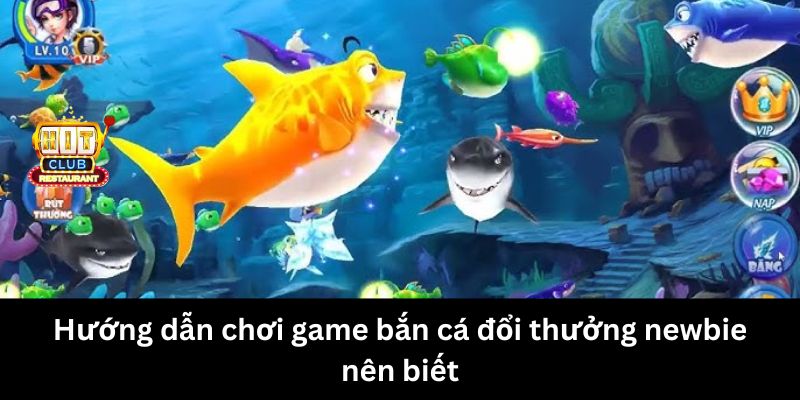 Hướng dẫn chơi game Bắn Cá Đổi Thưởng newbie nên biết