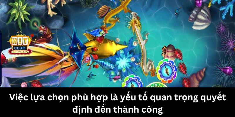 Việc lựa chọn phù hợp là yếu tố quan trọng quyết định đến thành công